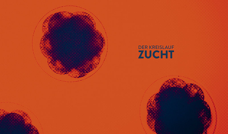 Zuchtbild Garneleneier